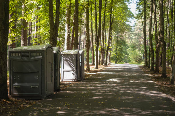 Best Sanitation services for porta potties  in Bull Shoals, AR
